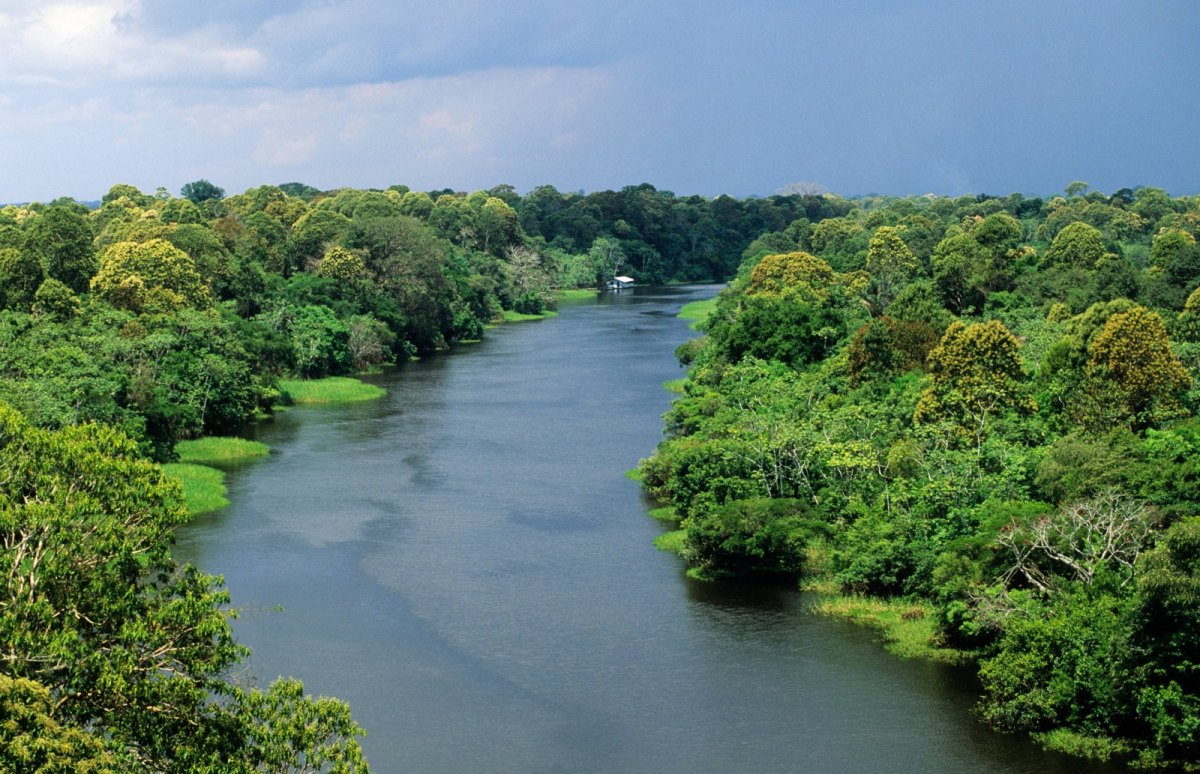 Amazonas