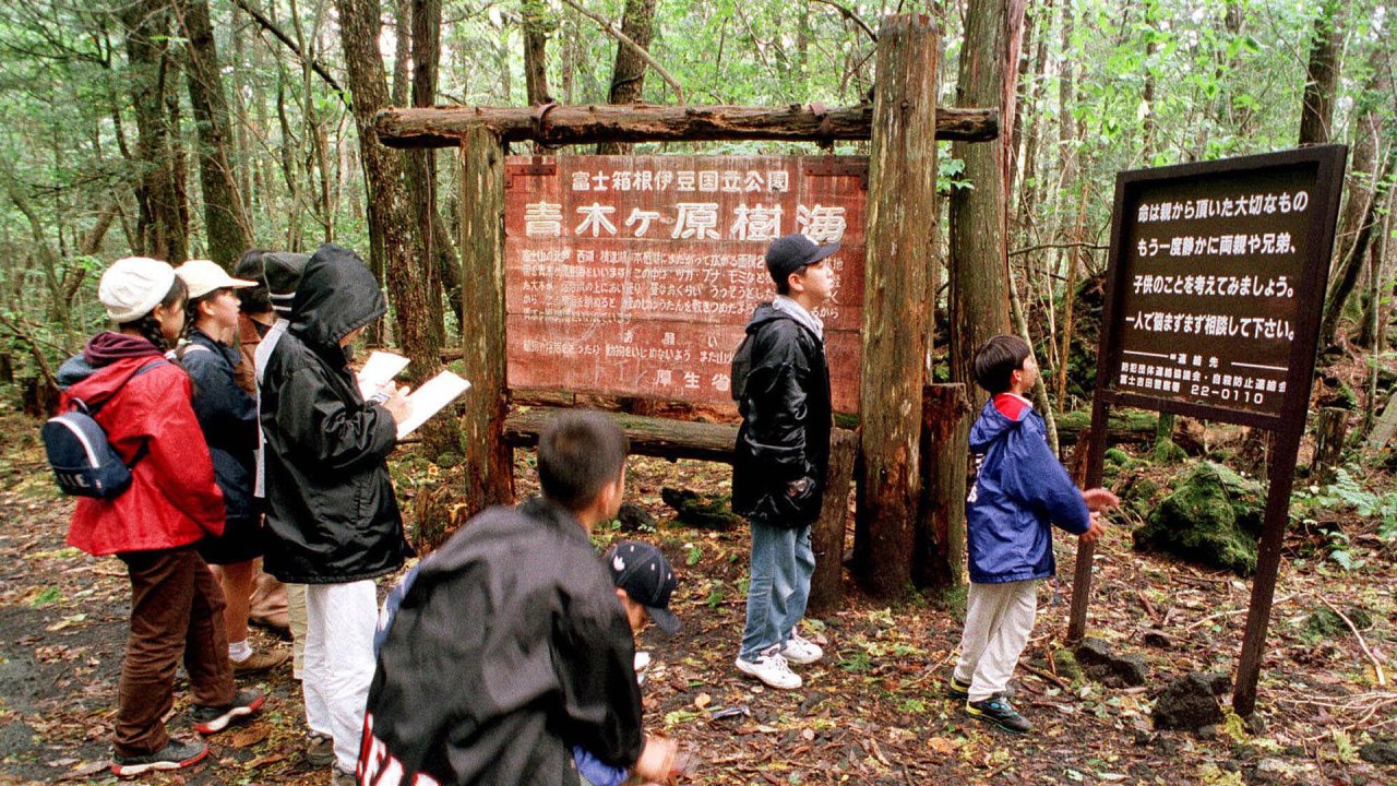 Japans Aokigahara-Wald betreten Menschen regelnmäßig mit der Absicht, sich hier das leben zu nehmen.