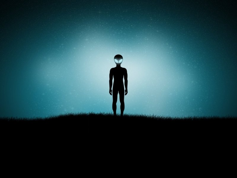 Alien auf einer Wiese.