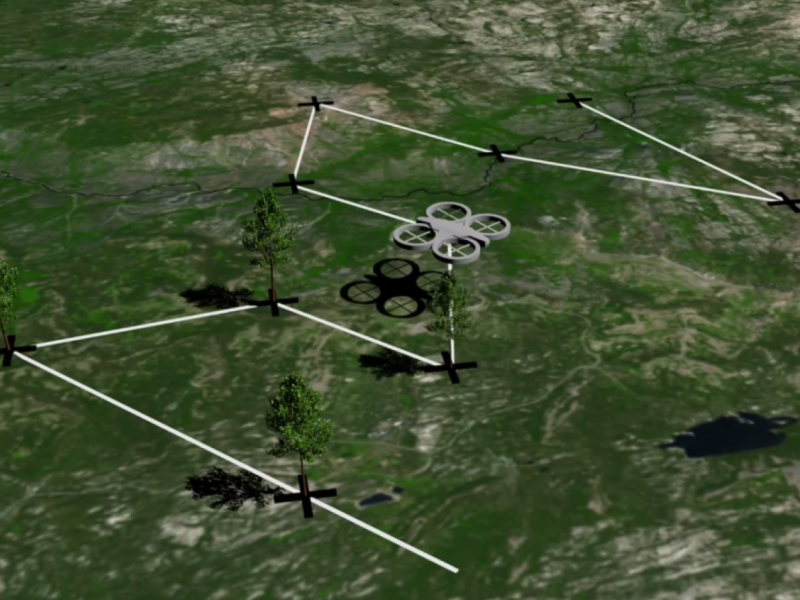 Simulation von BioCarbon