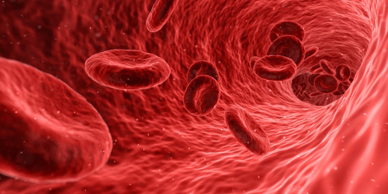 An den roten Blutkörperchen haften Antigene. In "Goldenem Blut" fehlen diese.