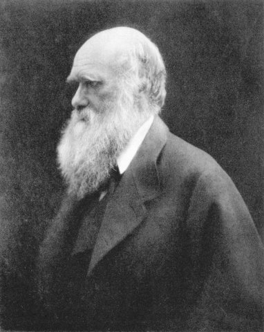 Der Naturforscher Charles Darwin prägte unser Leben durch seine Theorien.