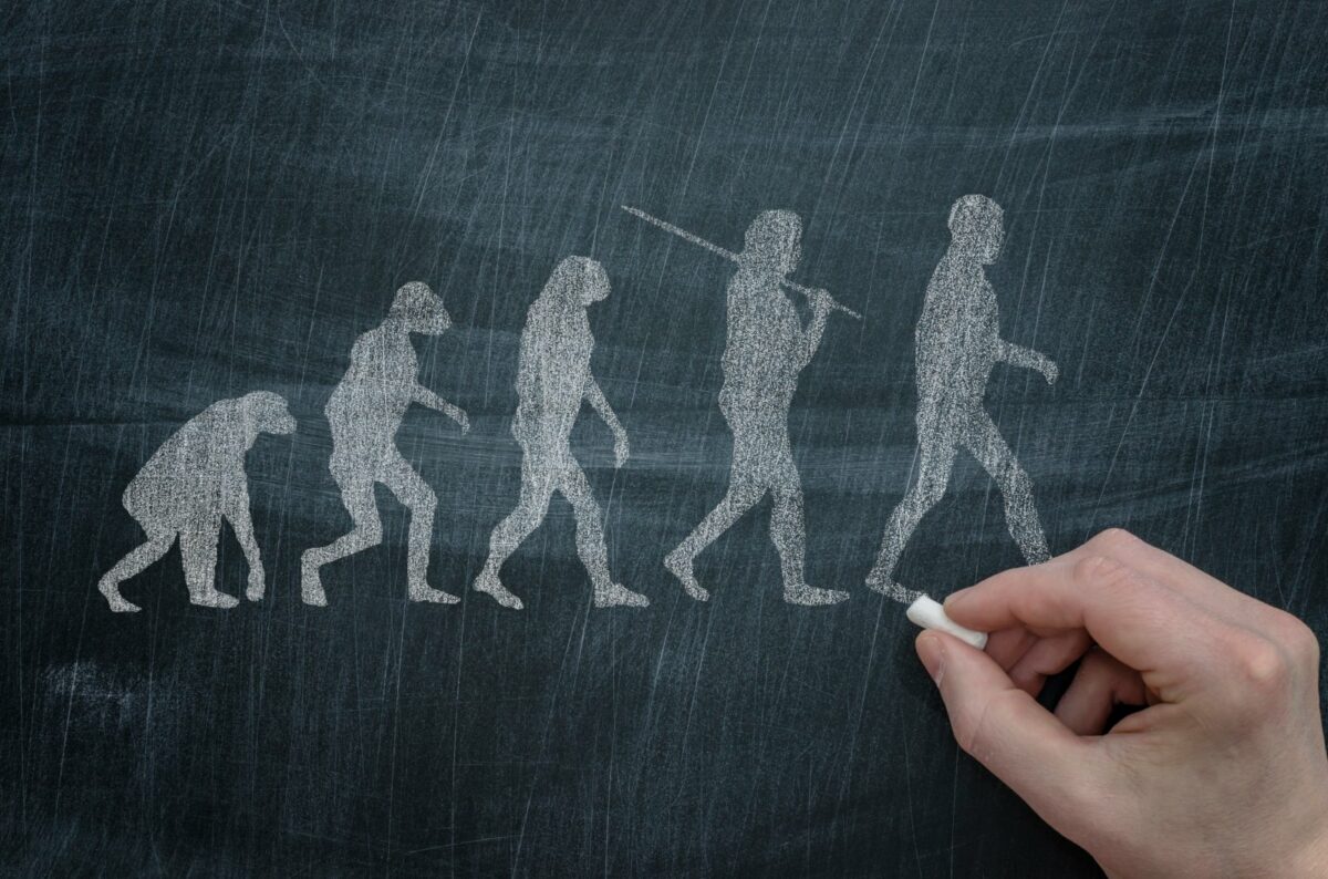 Die Evolution nach Charles Darwin.