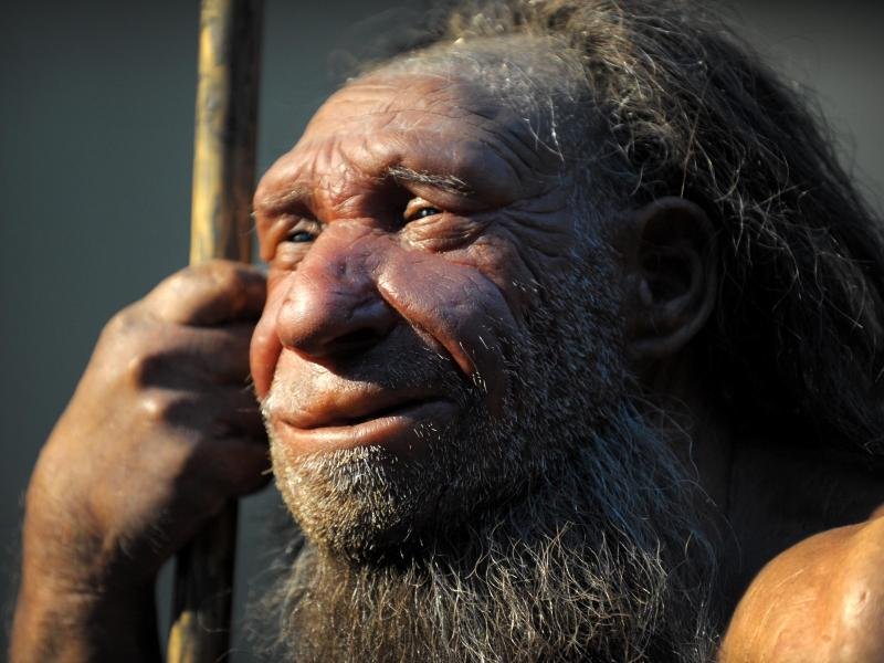 Auch der Neandertaler ist eine Art Verwandter von uns.