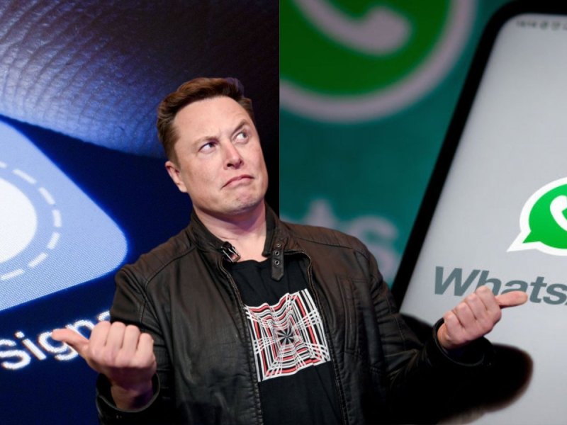 Elon Musk zwischen Signal und WhatsApp