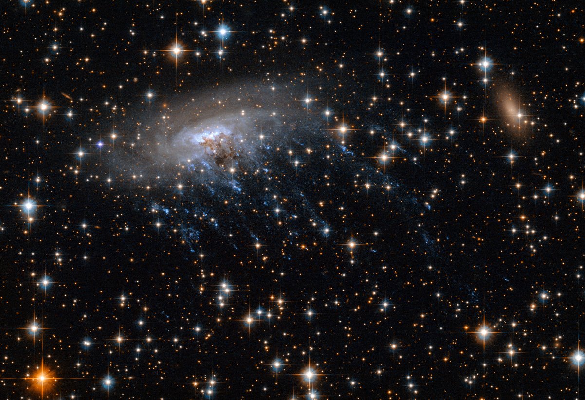 Die Galaxie ESO 137-001 wird auch die Qualle genannt.