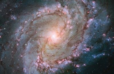 Galaxie Messier 83 ist besonders fotogen.