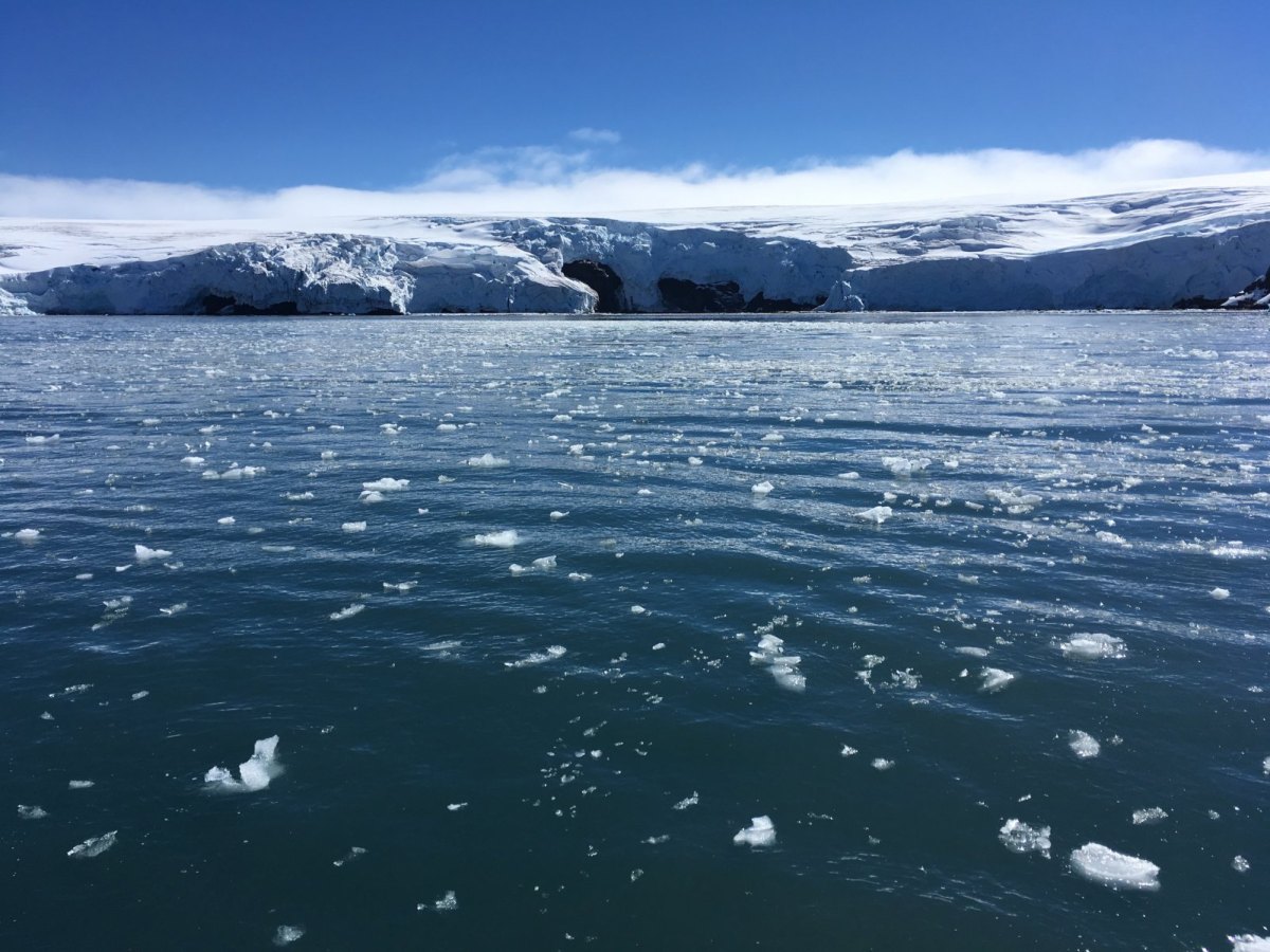 Antarktis: Dieses Phänomen verblüfft sogar Forscher – „konnten es nicht glauben“