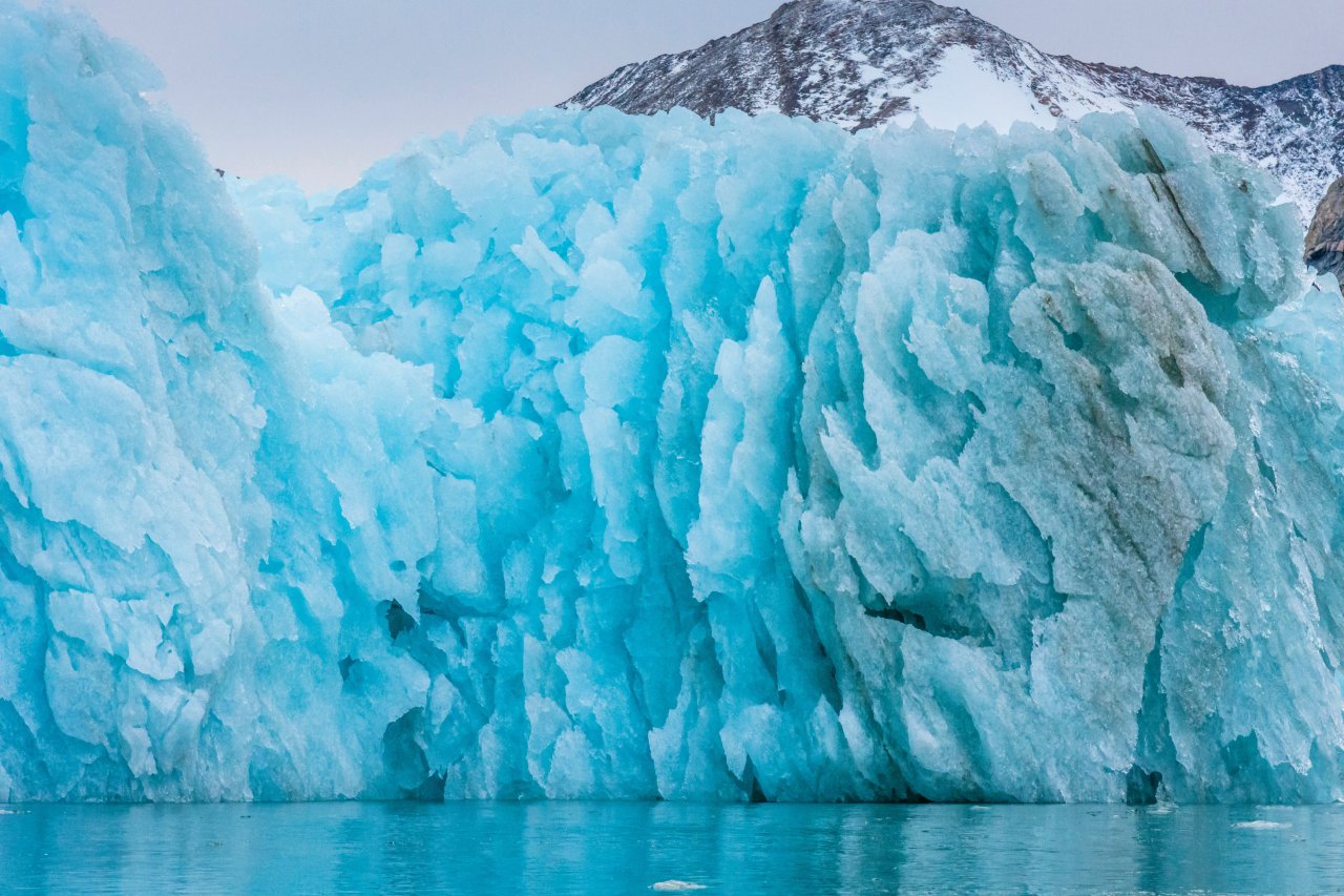 In Grönlands Eisfeldern sind Millionenjahre alte Pflanzenfossilien so gut konserviert, dass Wissenschaftler:innen noch heute an ihnen forschen können.