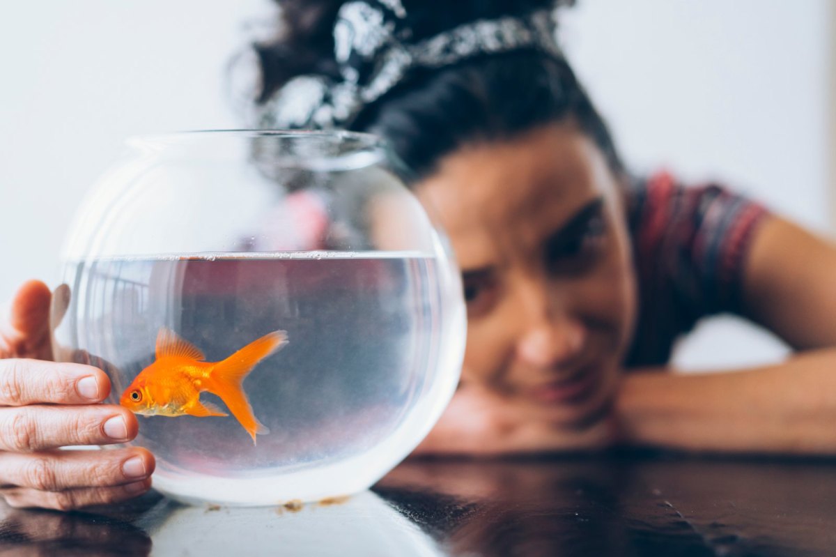 Frau schaut einen Goldfisch im Glas an