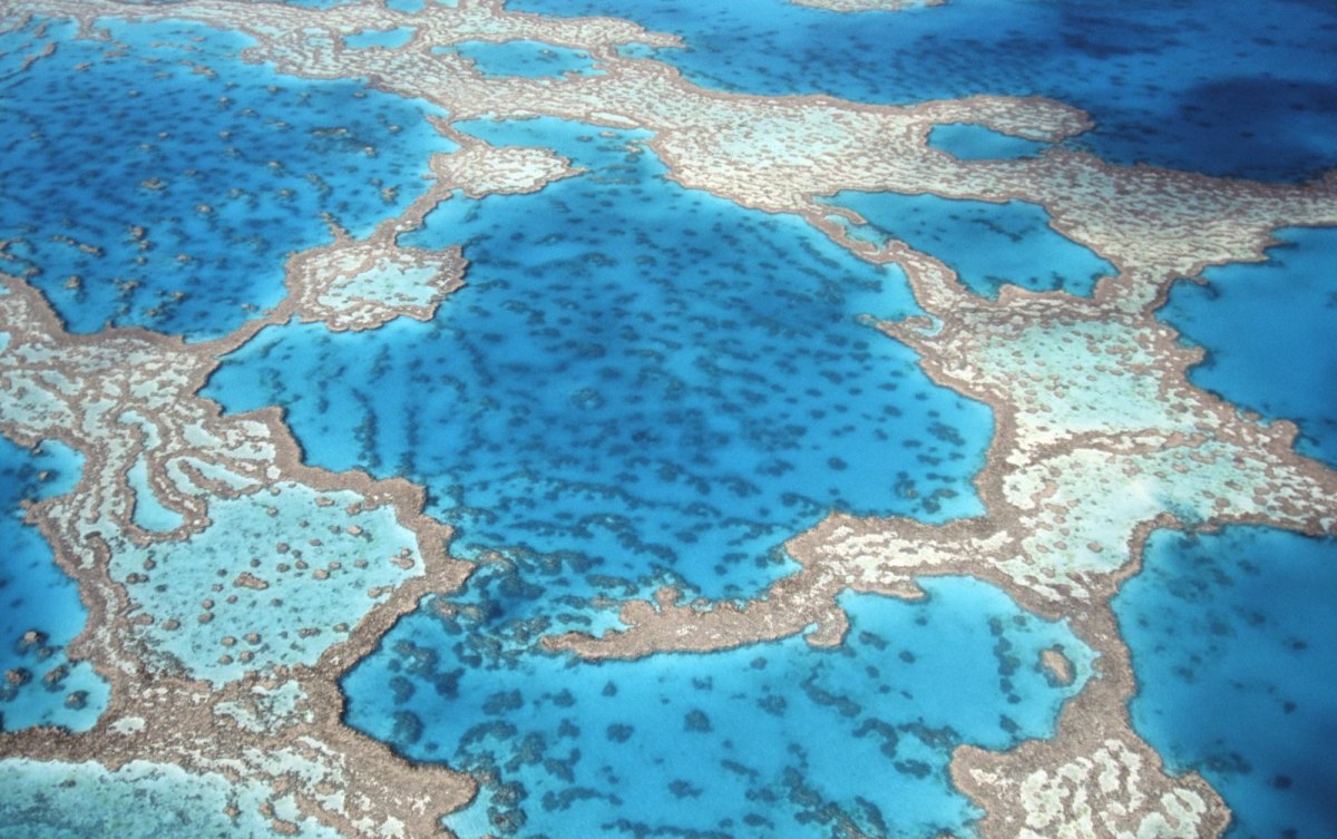 Great-Barrier-Reef