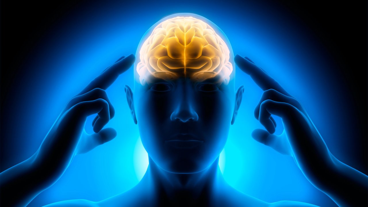 Die Neurowissenschaft liefert eine Antwort für den grenzwertigen Bewusstseinszustand. 