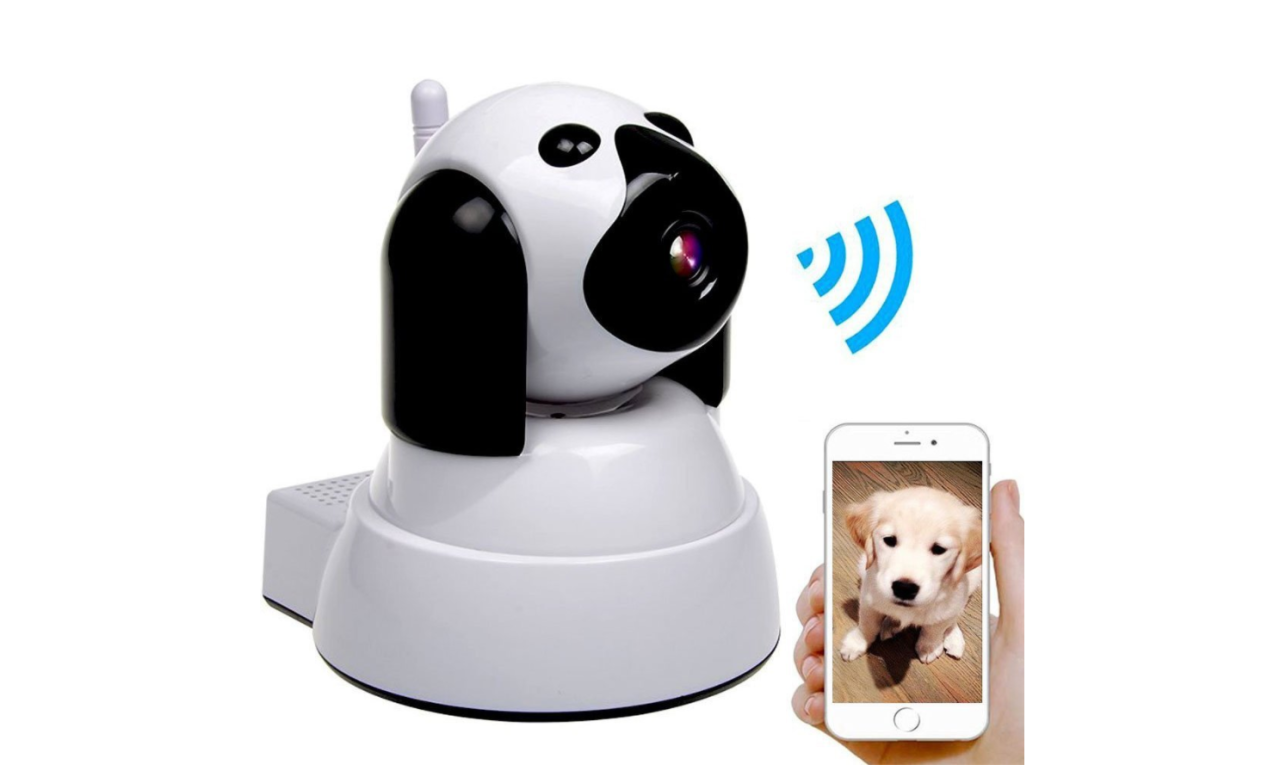 Wer wissen will, das der eigene Hund in seiner Freizeit tut, kann ihn per Kamera 24/7 überwachen.