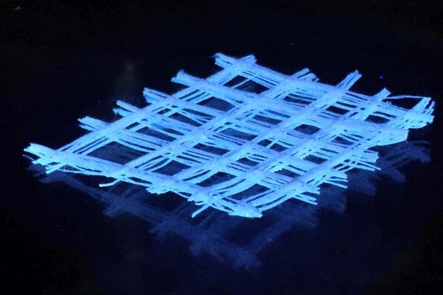 Durch 3D-Druck-Verfahren kann die verbesserte Seide in andere Formen gebracht werden.