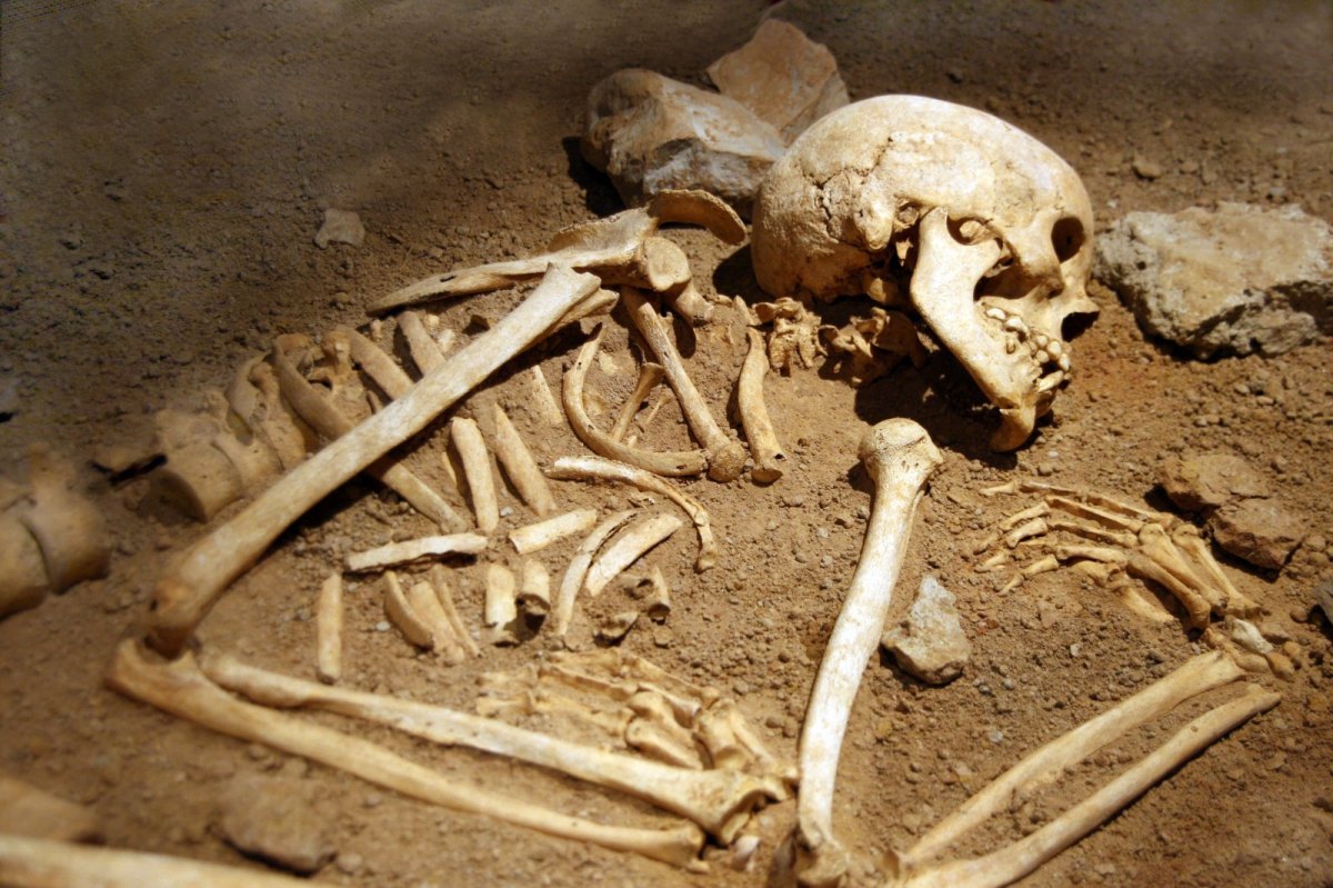 Ein menschliches Skelett halb von Erde bedeckt.