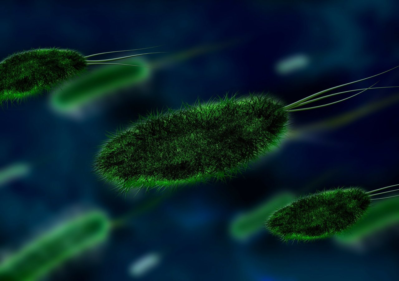 Mikroben sind überall. Auf deinen toten Körper freuen sie sich besonders.