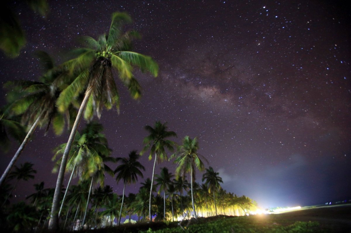 Die Milchstraße von einem Strand mit Palmen aus gesehen.