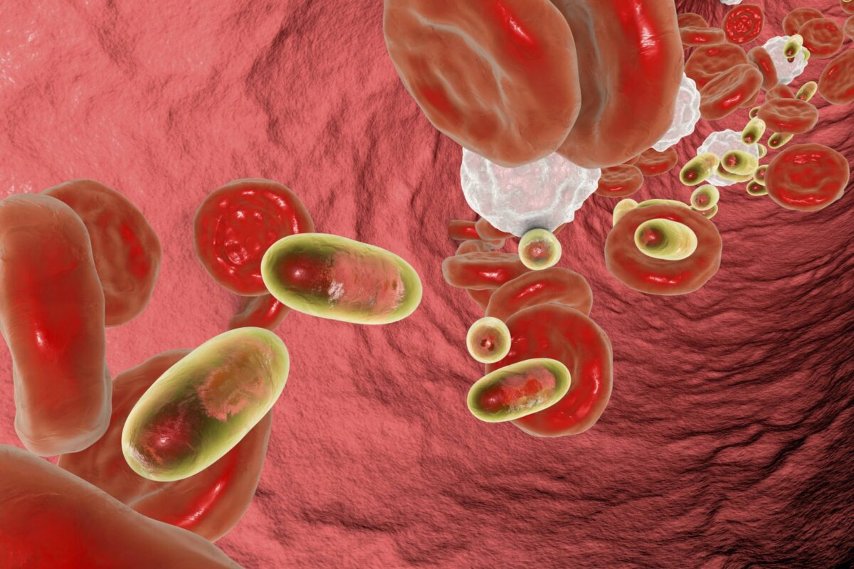 Nanopartikel im Blutkreislauf
