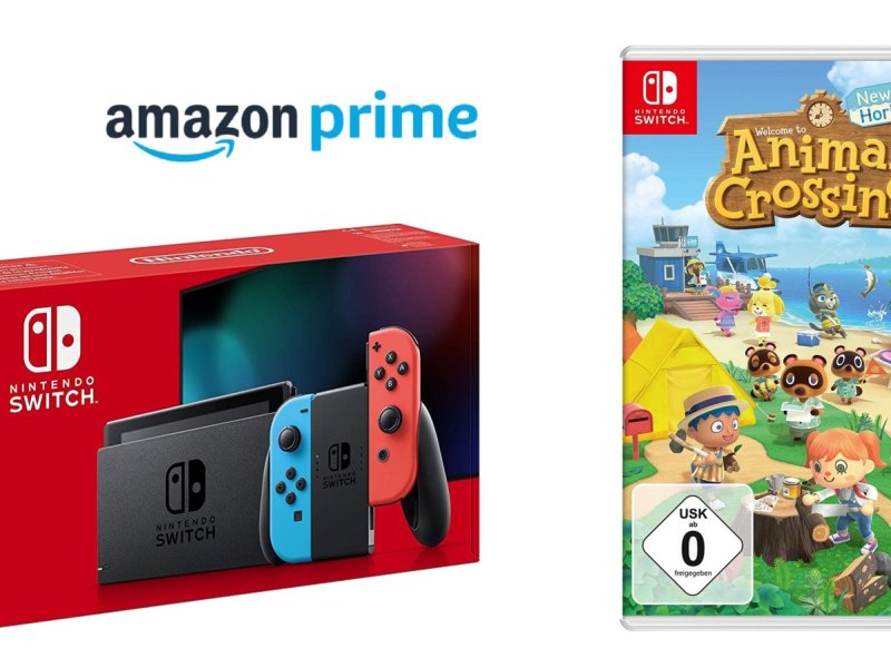 Nintendo Switch plus "Animal Crossing: New Horizons"