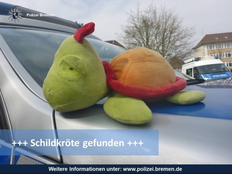 Schildkröte "Schildi" auf dem DAch eines Polizeiautos