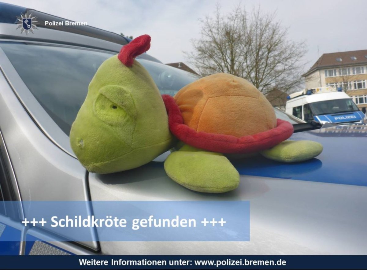 Schildkröte "Schildi" auf dem DAch eines Polizeiautos