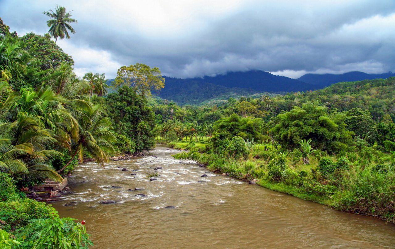 Die Tropen bilden als Klimazone den Regenwaldgürtel um unseren Planeten. Hier gibt es keine jahreszeitlich bedingten Schwankungen.