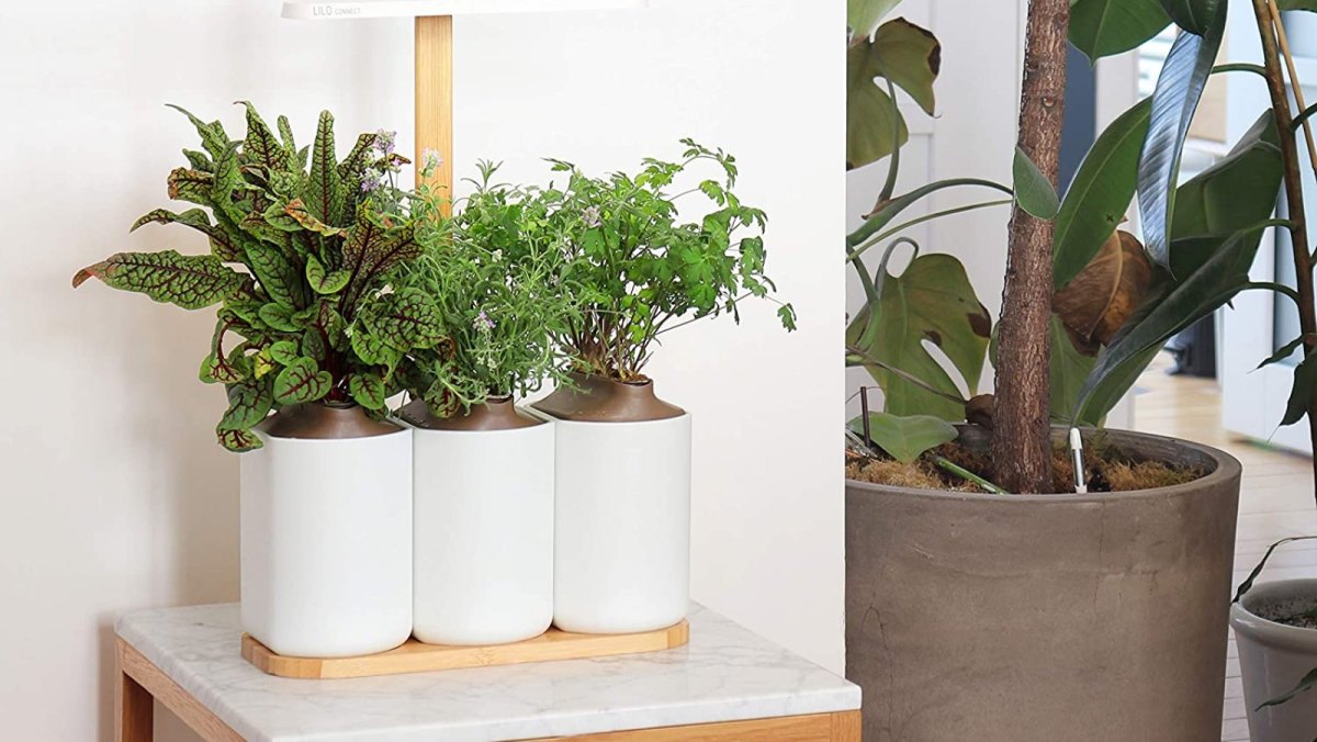 Smarter Kräuter-Indoor-Garten