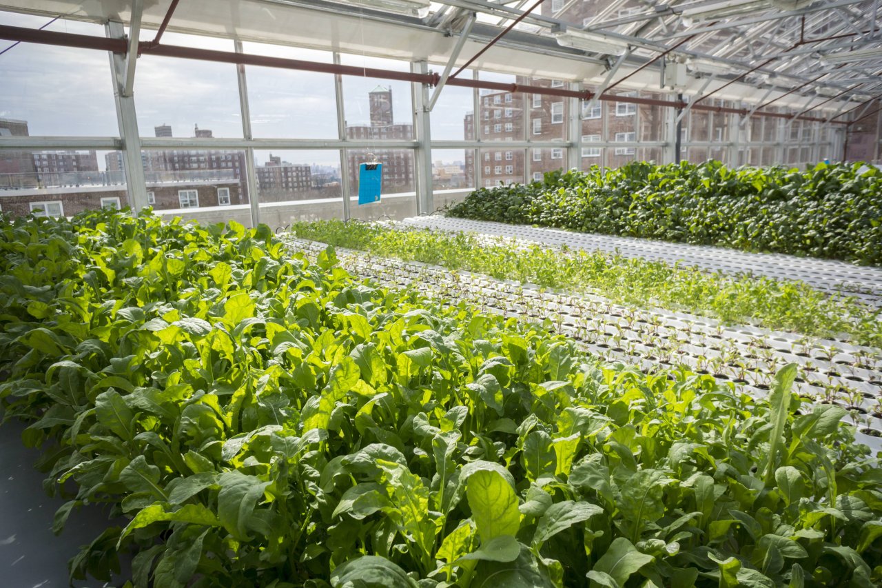 Landwirtschaft darf sich zukünftig ruhig mehr in Gebäuden abspielen als direkt an der frischen Luft.