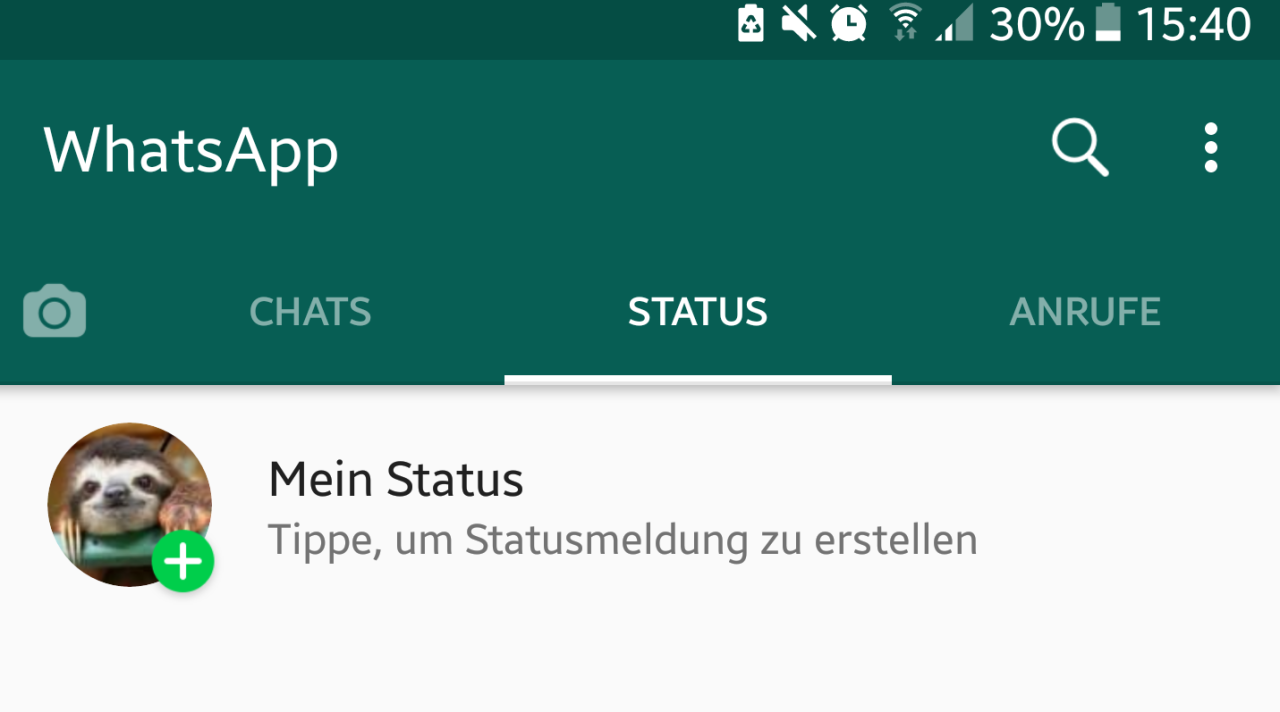 Deinen WhatsApp Status kannst du mit Text, Video oder Bild gestalten.