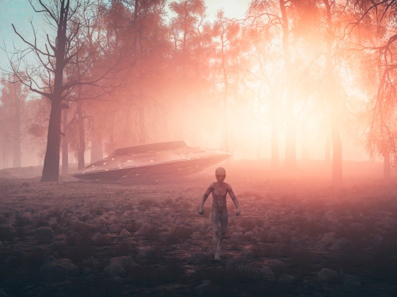 Außerirdischer und UFO in einem Wald.