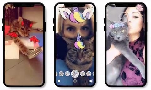 Filter für Katzen gibt es schon länger bei Snapchat. 