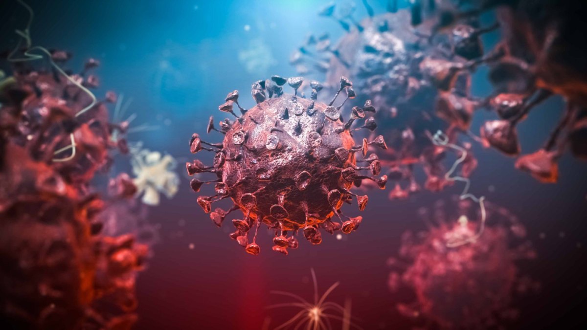 Coronavirus- und Influenza-Zellen.