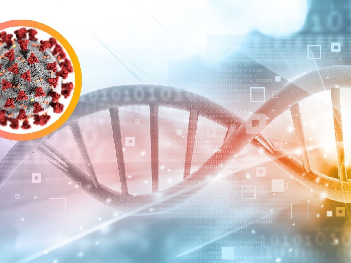 DNA-Strang
