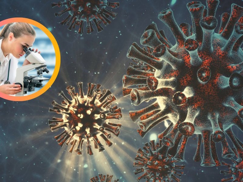 Wissenschaftlerin untersucht ein Coronavirus