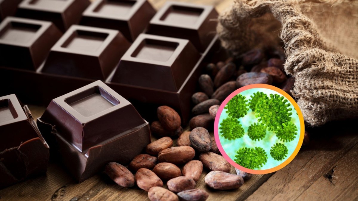 Coronavirus und dunkle Schokolade