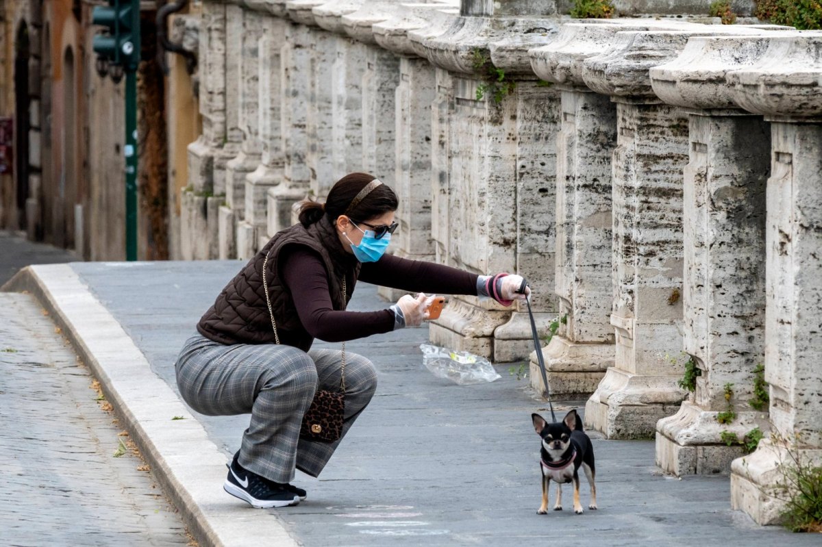 coronavirus übertragung frau mit hund