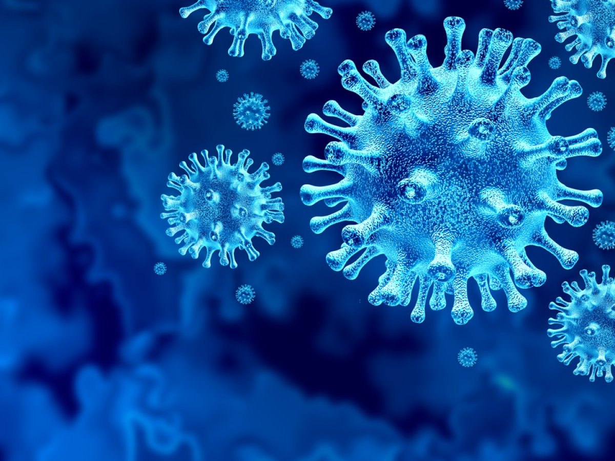 Coronavirus-Zellen.