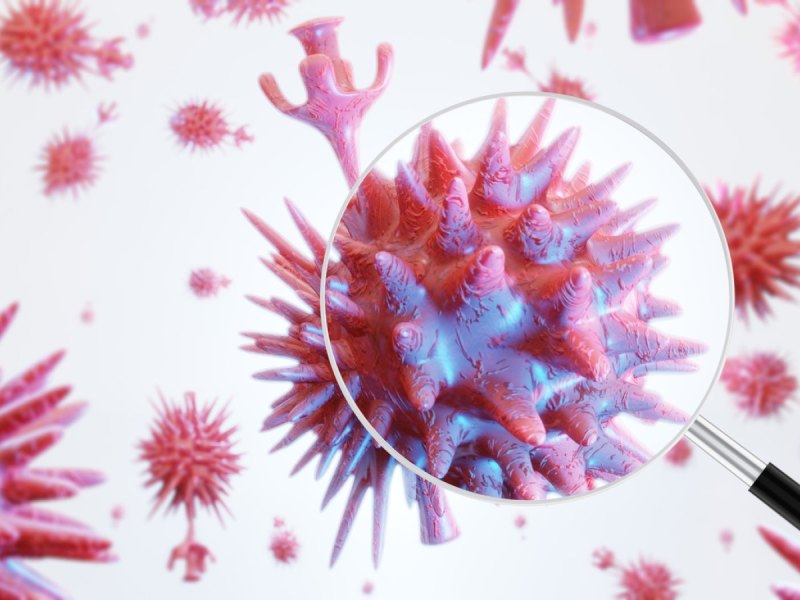 3D-Bild vom Coronavirus