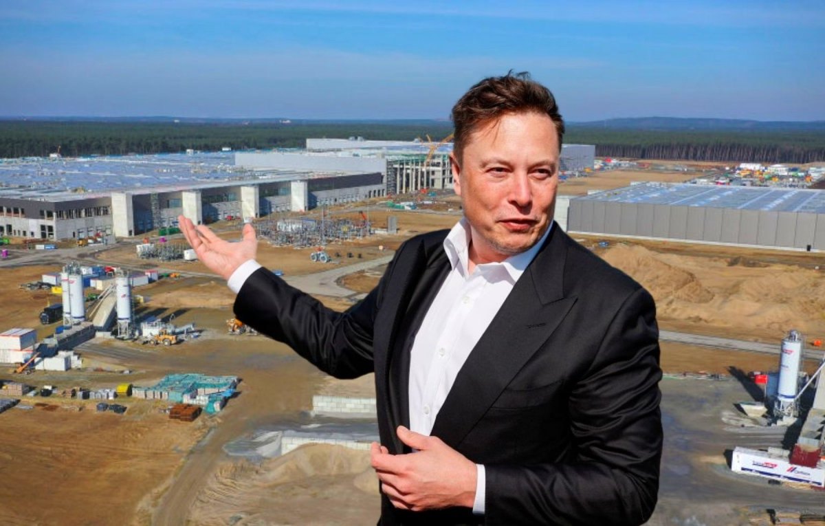 Tesla-CEO Elon Musk