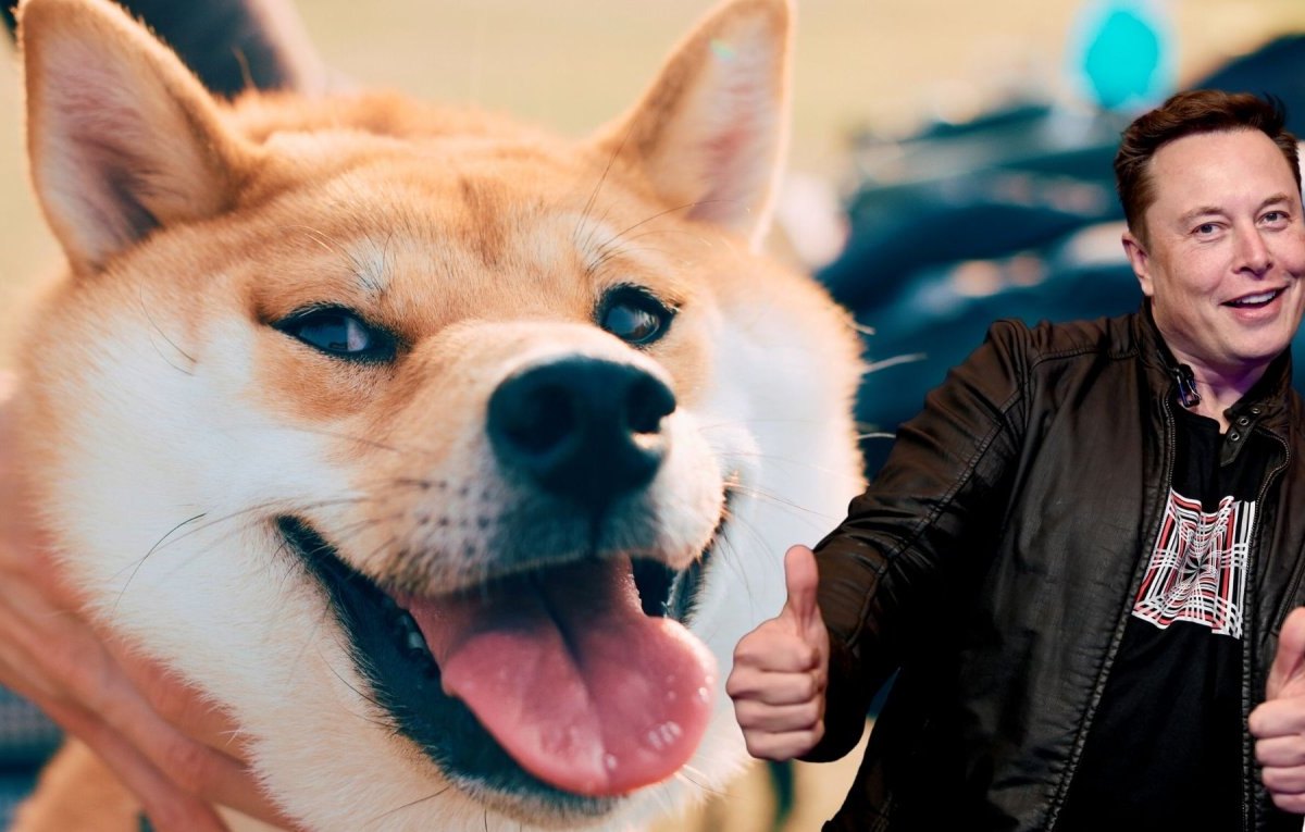 Elon Musk vor einem Shiba Inu