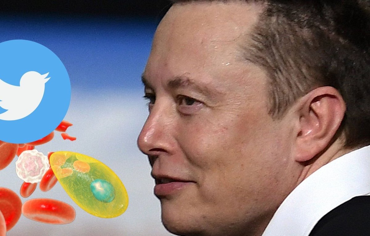 Elon Musk.