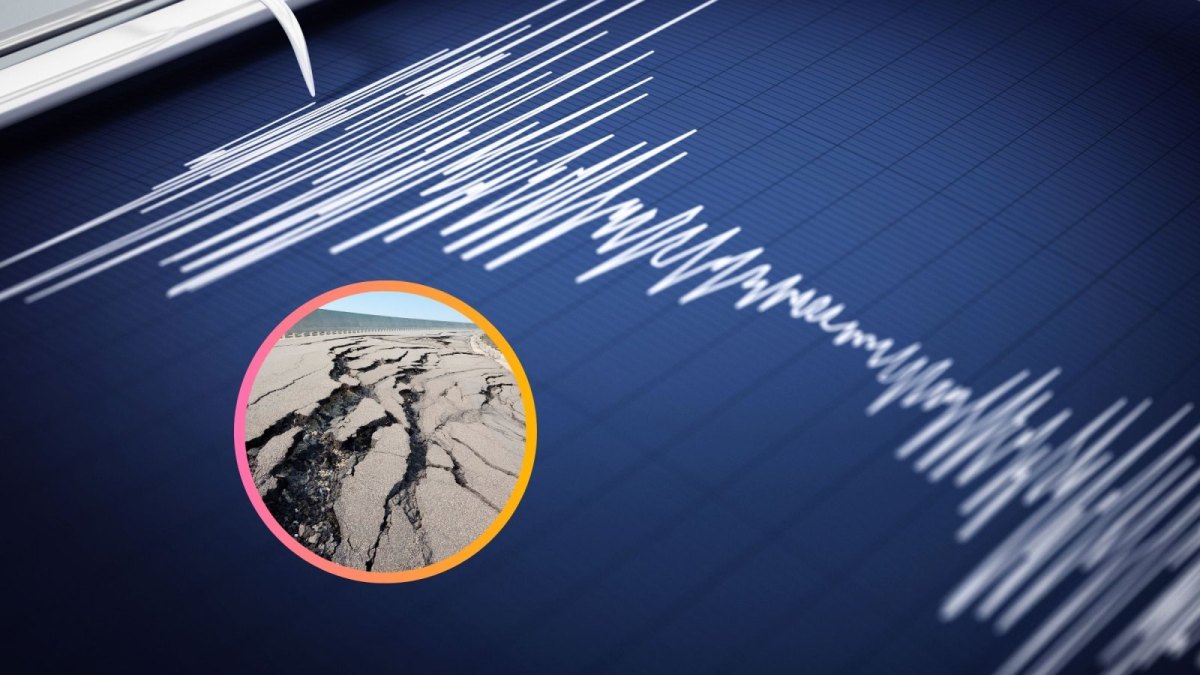 Erdbeben-Seismograf