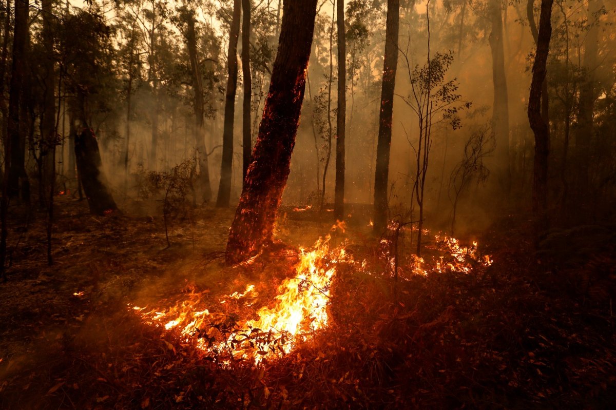 Australien Buschfeuer