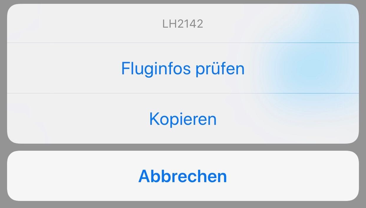 Hast du die verlinkte Flugnummer angetippt, öffnet sich das gewünschte Menü.