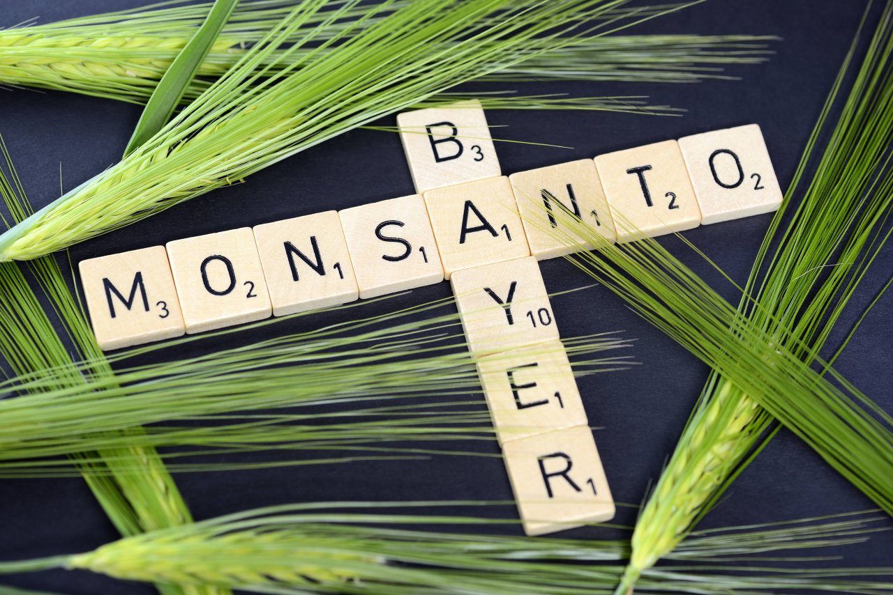Nach der Monsanto-Übernahme besitzt Bayer in der EU die meisten Importrecht für gentechnisch veränderte Organismen.