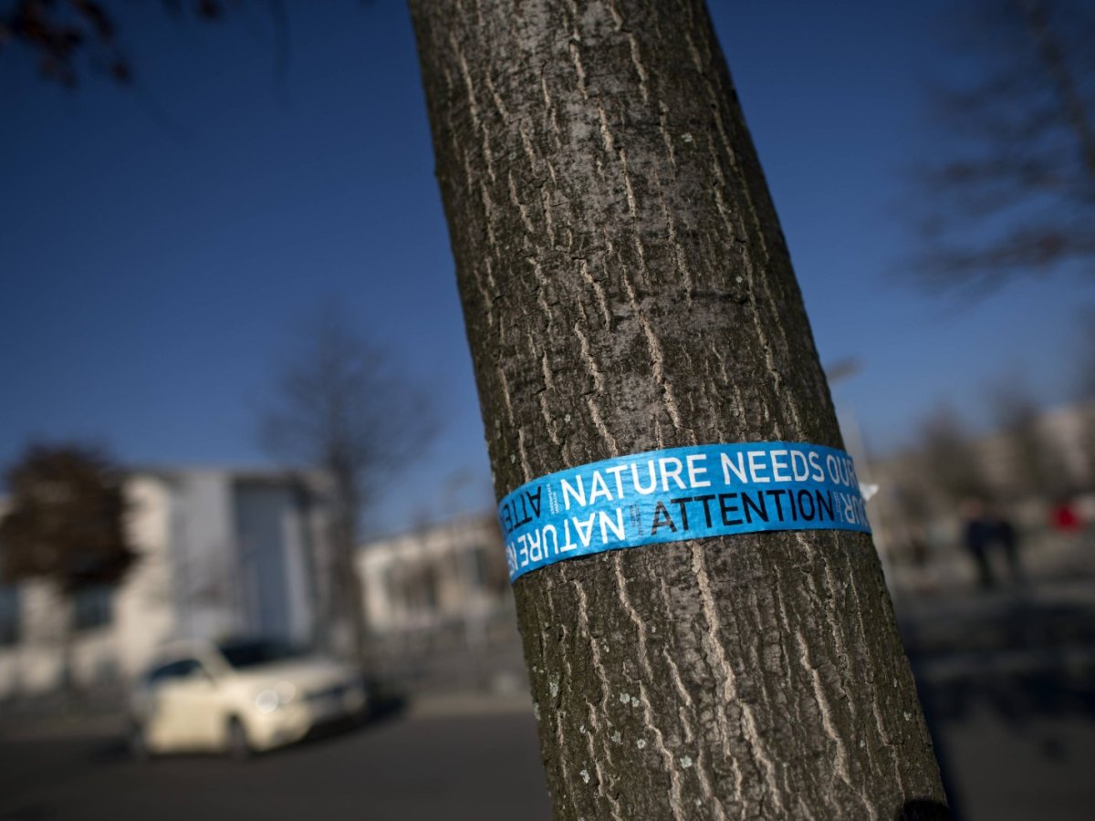 Baum mit Banner "Nature needs Attention" von Greenpeace