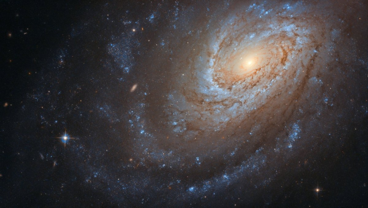 Spiralgalaxie NGC 4651
