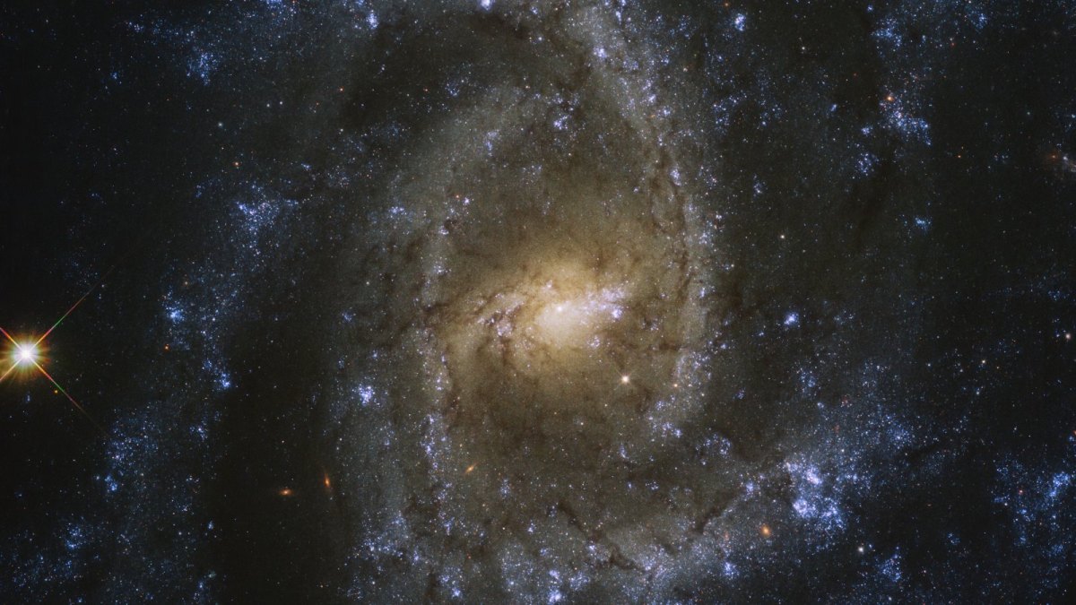 Die Spiralgalaxy NGC 2835