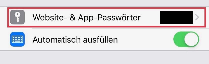 Unter dem Punkt "Website- & App-Passwörter werden dir alle Passwörter angezeigt, die du auf deinem iPhone gespeichert hast. 