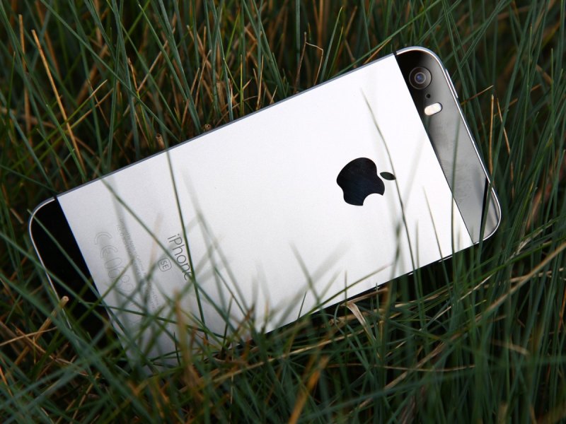 Ein iPhone SE liegt im Gras.